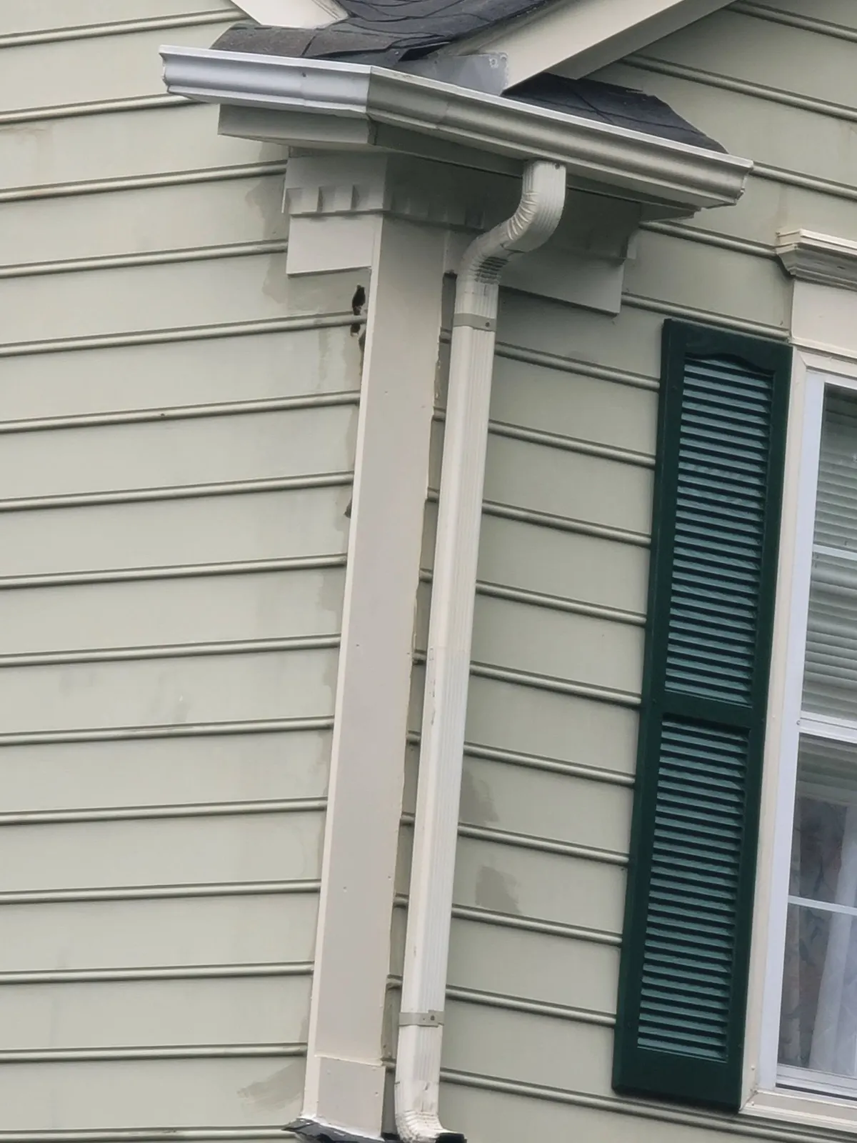 Close-up of painted siding, gutter and a dark green shutter